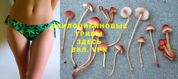 2c-b Алексеевка