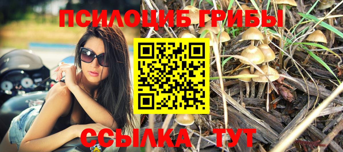 Галлюциногенные грибы мухоморы Аша