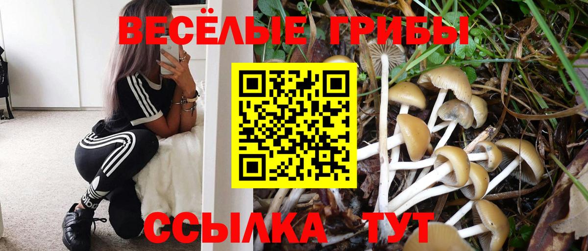 Псилоцибиновые грибы прущие грибы  Псилоцибиновые грибы GOLDEN TEACHER  Аша  Вход с VPN 